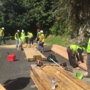 Arecibo-Observatory-(5)