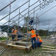 Arecibo-Observatory-(7)