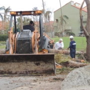 Post-Hurricane Restoration